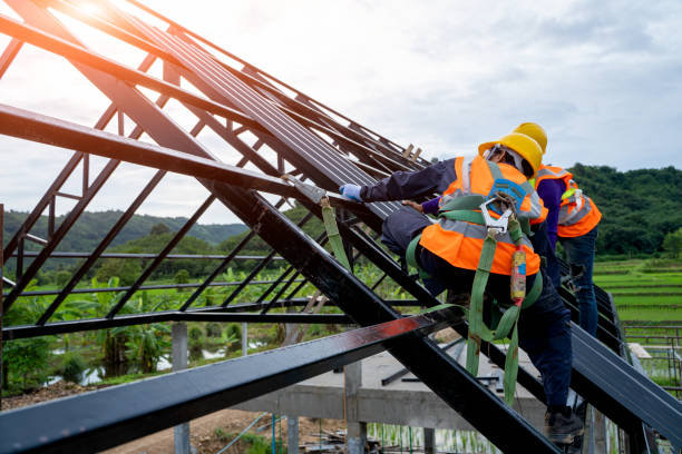 Quick and Trustworthy Emergency Roof Repair Services in Lutz, FL